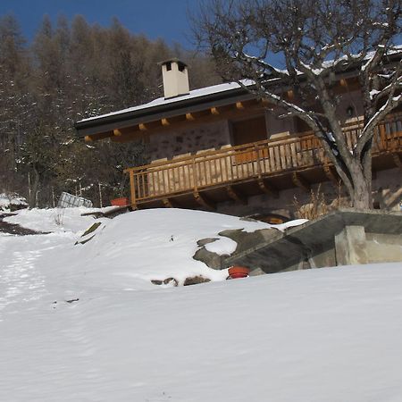 منزل الضيف Grauno  في Agritur Maso Bornie المظهر الخارجي الصورة